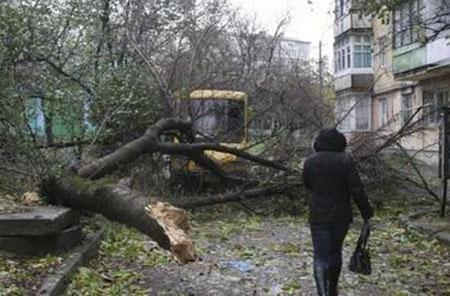 Безопасность во время урагана, бури, смерча.